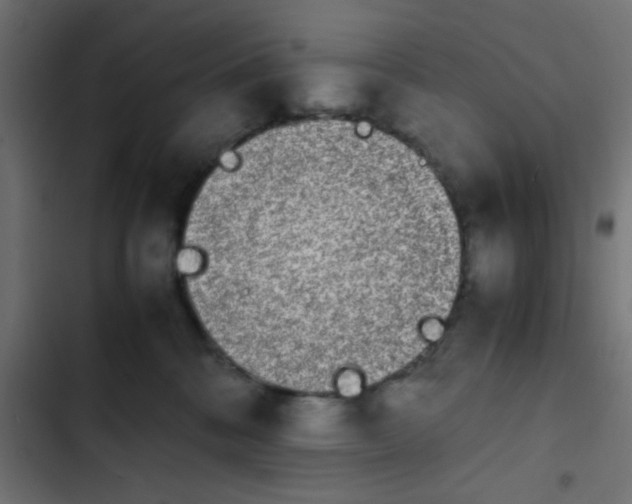 X0000103940328200809261731