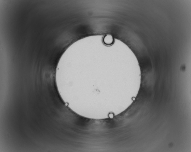 X0000103940329200809261731