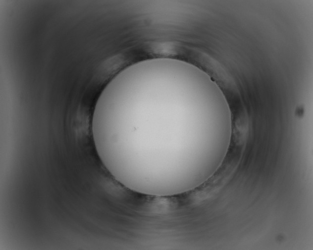 X0000103940330200809261731