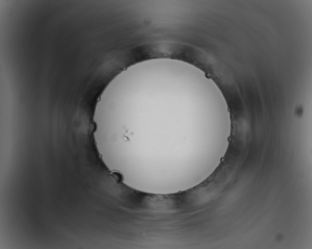 X0000103940331200809261731