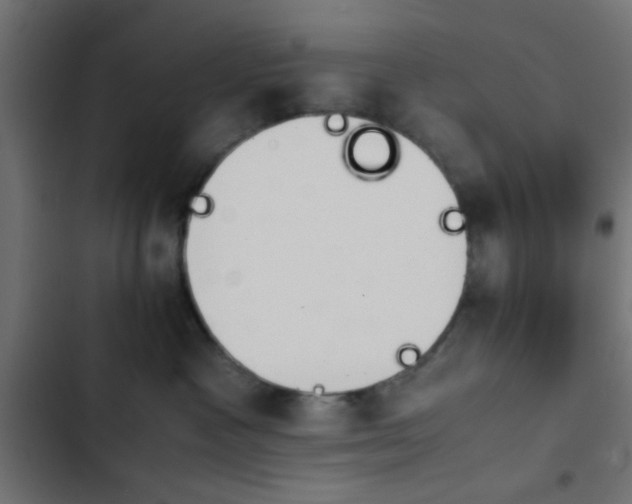 X0000103940333200809261731