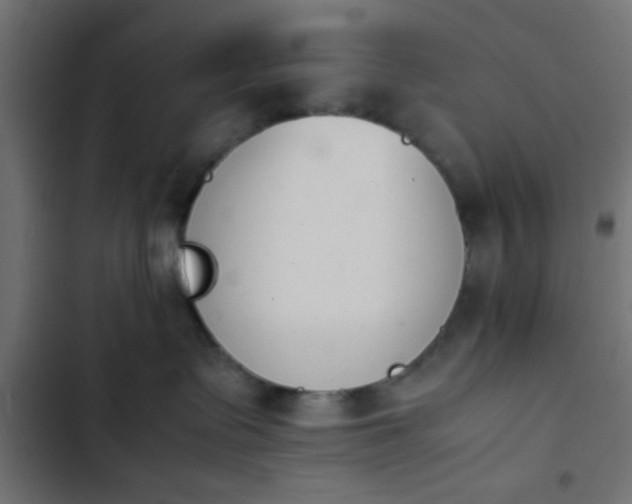 X0000103940335200809261731