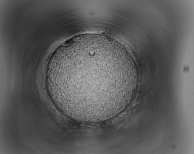 X0000103940337200809261730