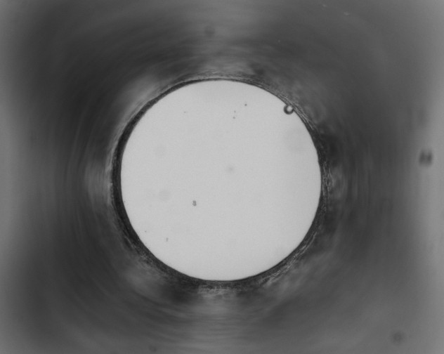 X0000103940340200809261730