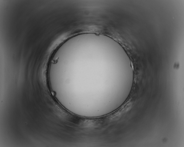 X0000103940341200809261730