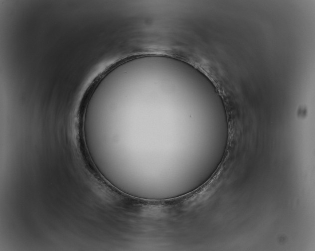 X0000103940342200809261730