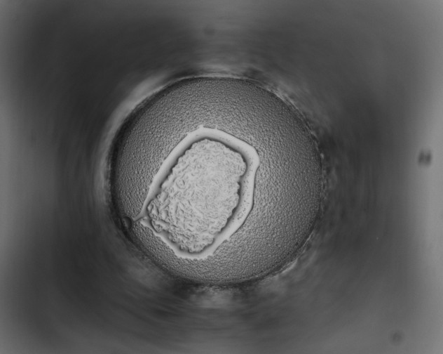 X0000103940343200809261730