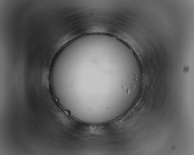 X0000103940345200809261730