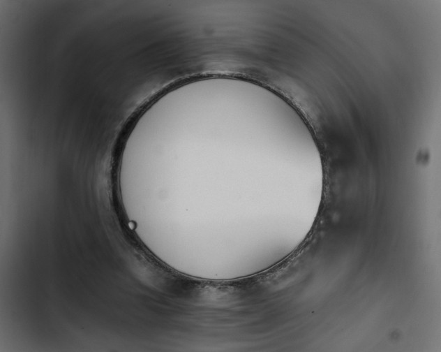 X0000103940346200809261730