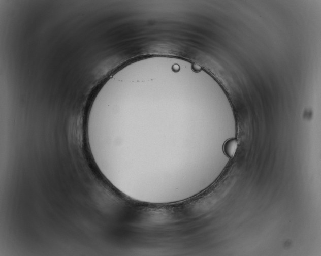 X0000103940349200809261730