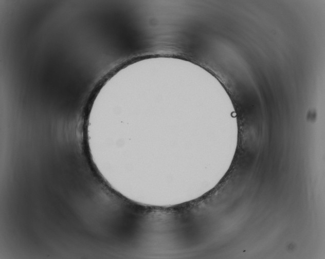 X0000103940350200809261730