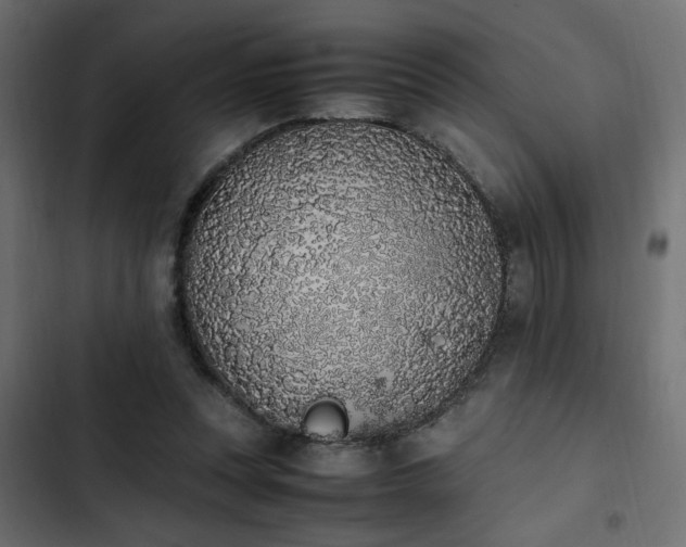 X0000103940351200809261730