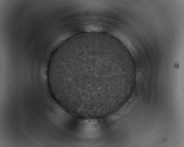 X0000103940353200809261730