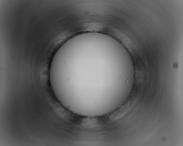 X0000103940354200809261730