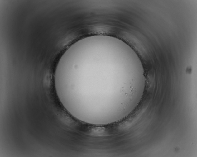 X0000103940355200809261730