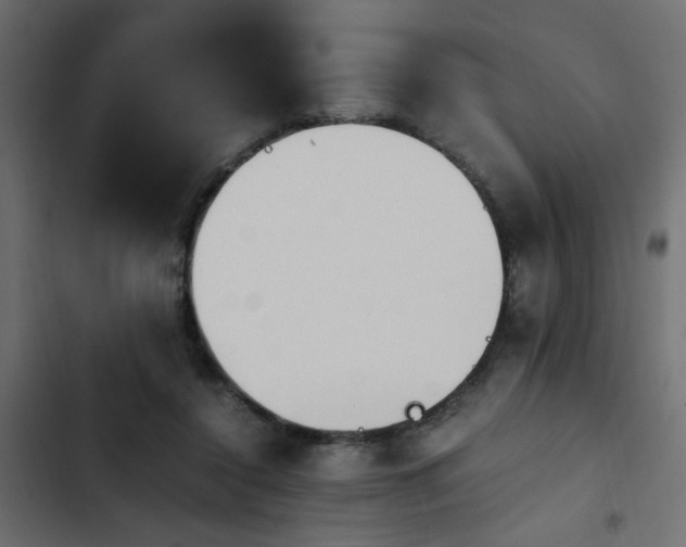 X0000103940356200809261730