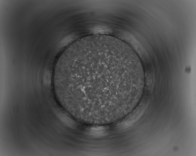 X0000103940357200809261730