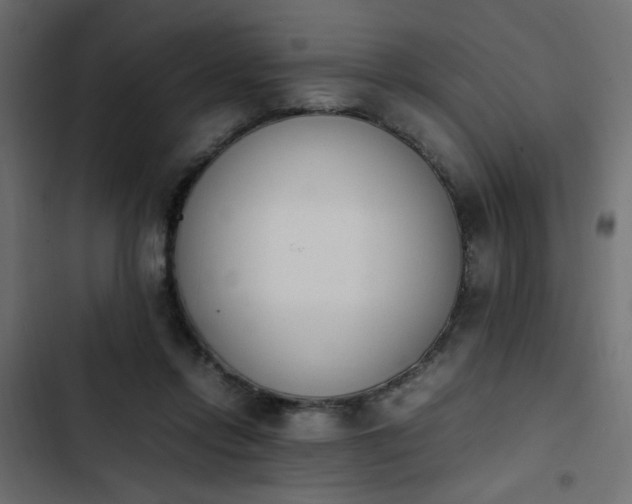 X0000103940358200809261730