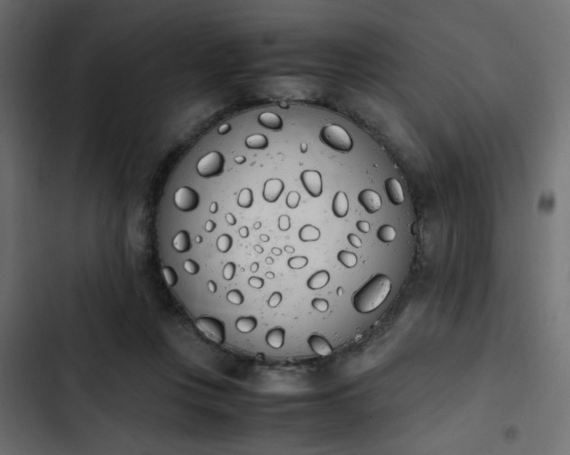 X0000103940359200809261730