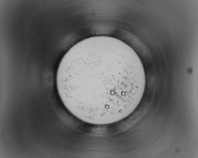 X0000103940362200809261730