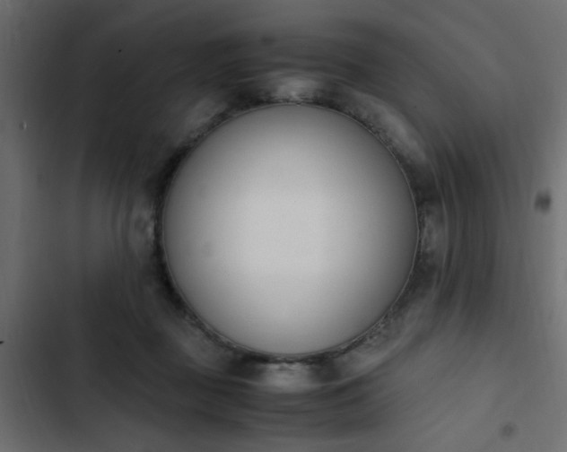 X0000103940363200809261730