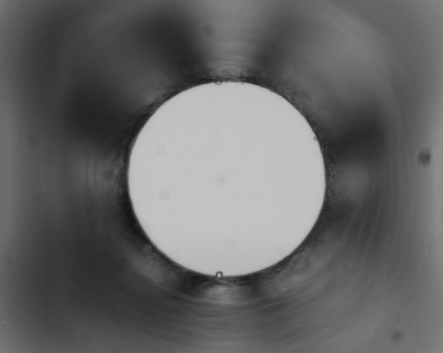 X0000103940364200809261730