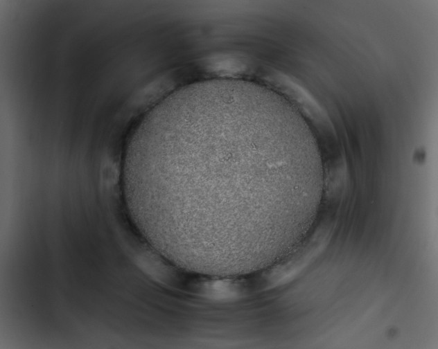 X0000103940365200809261730