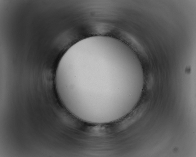 X0000103940366200809261730