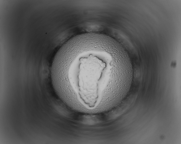 X0000103940367200809261730