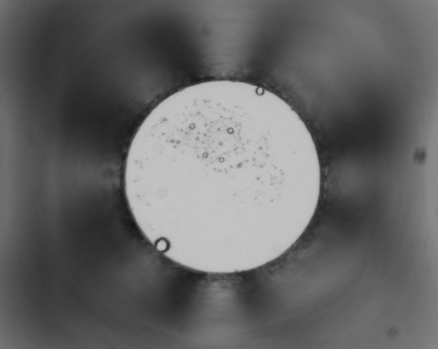 X0000103940368200809261730