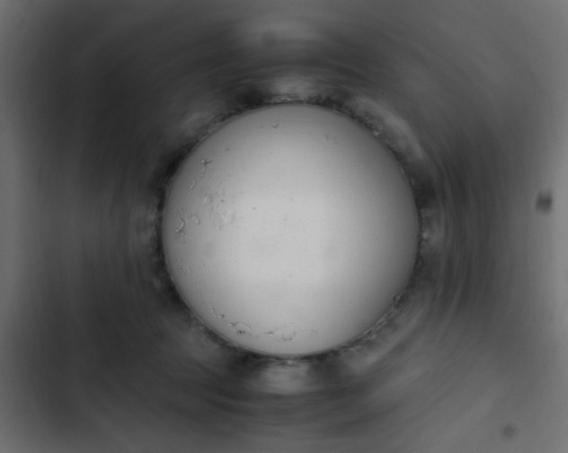 X0000103940369200809261730