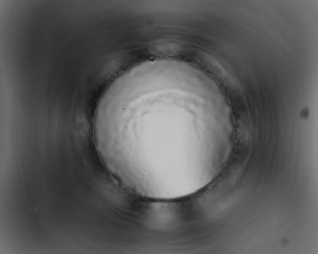 X0000103940371200809261730