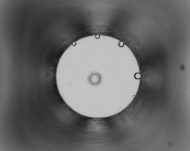 X0000103940372200809261730