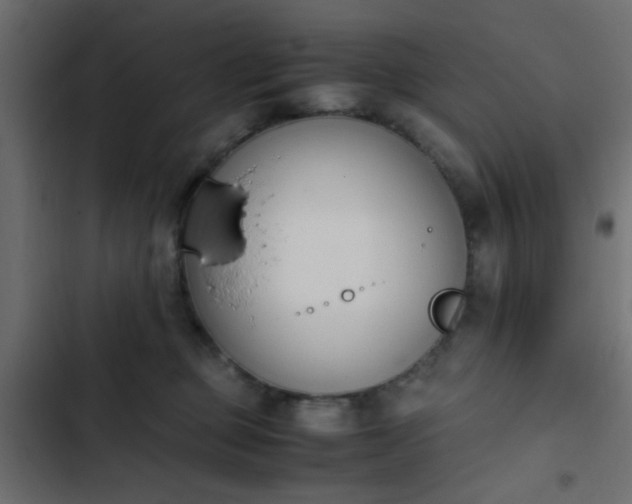 X0000103940373200809261730