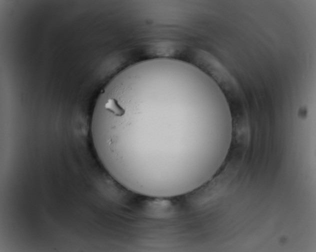 X0000103940374200809261730