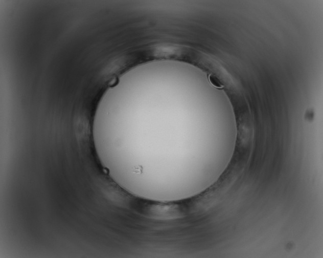 X0000103940375200809261731