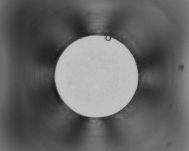 X0000103940376200809261731