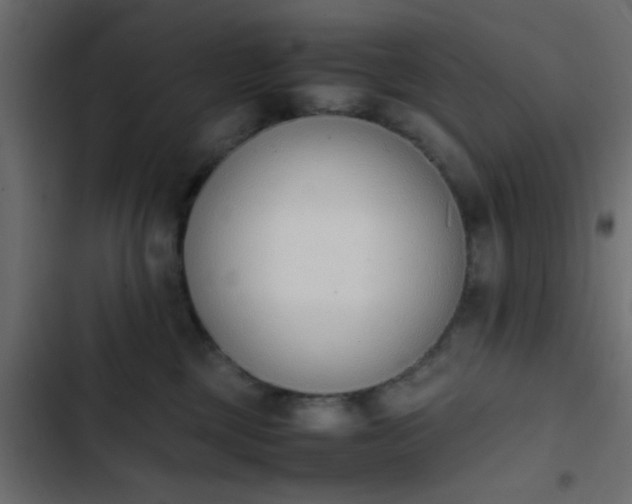 X0000103940377200809261731