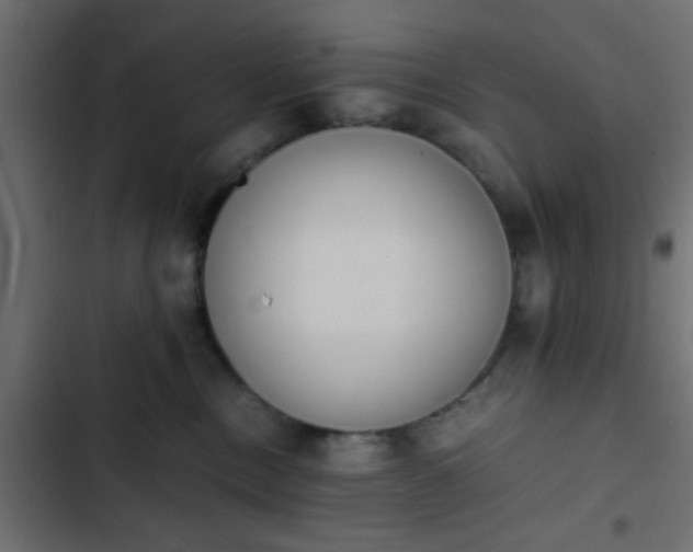 X0000103940378200809261731