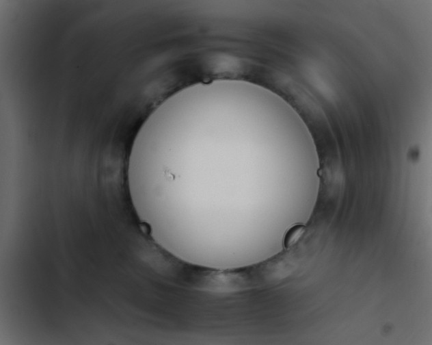 X0000103940379200809261731