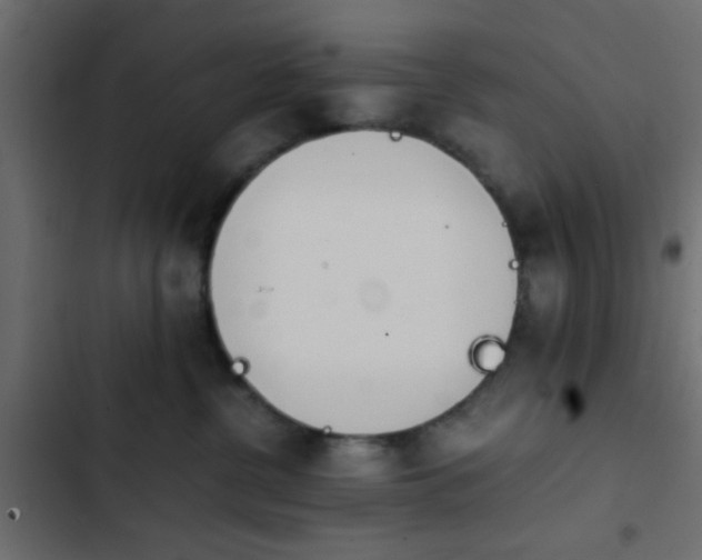 X0000103940380200809261731