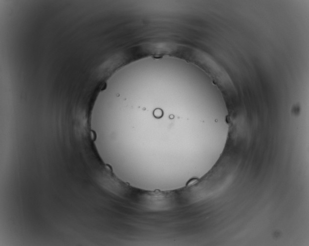 X0000103940381200809261731