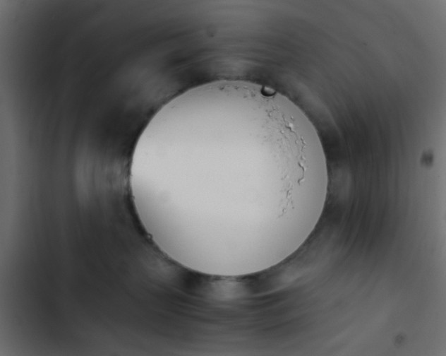 X0000103940383200809261731