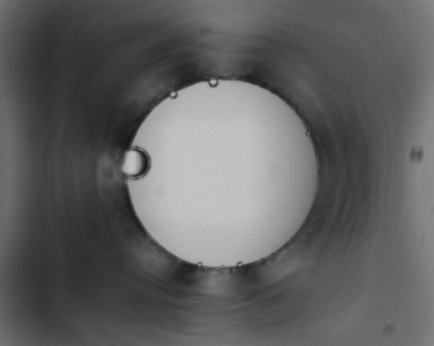 X0000103940384200809261731