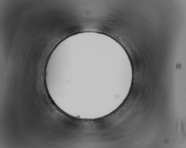 X0000103940385200809261730