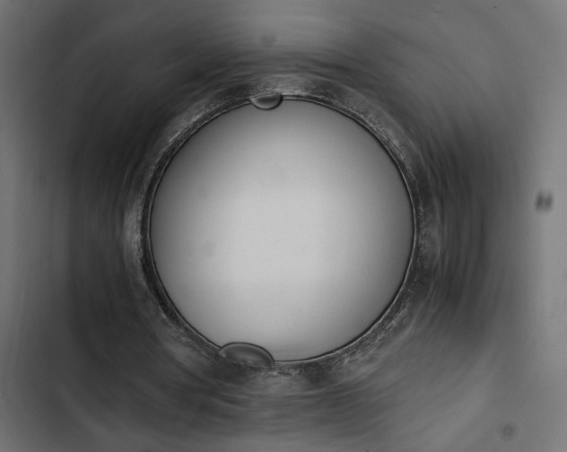 X0000103940386200809261730