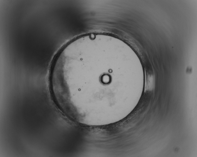 X0000103940387200809261730