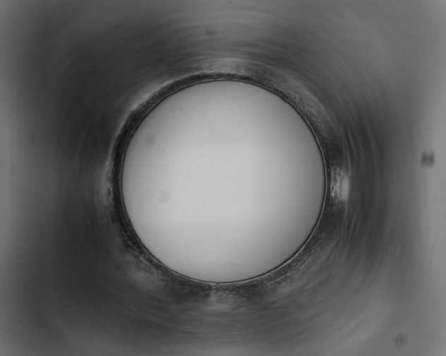 X0000103940388200809261730