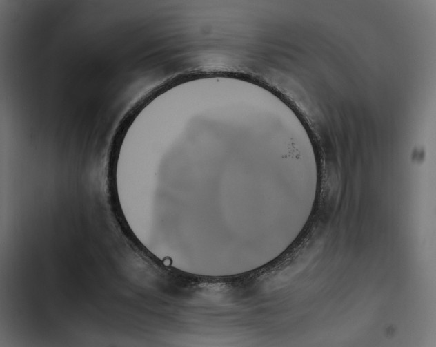 X0000103940391200809261730