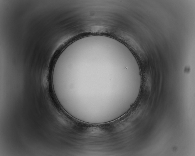 X0000103940392200809261730